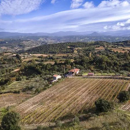 Mandrolisai Samughèo